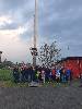 Maibaum 2019